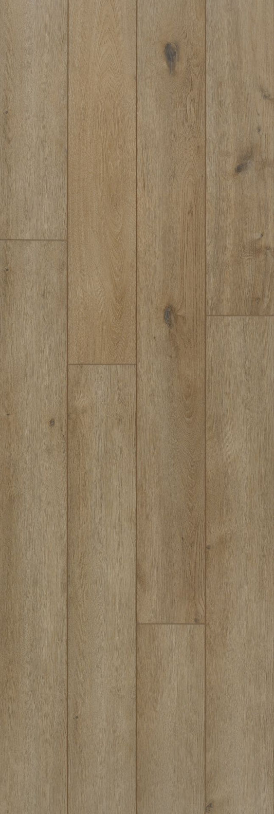 COREtec Authentics 115 Champlain