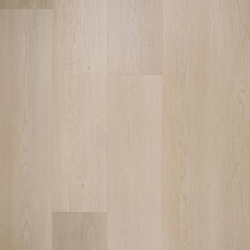 Douwes Dekker Nieuwe Oogst Plank Sinaasappel