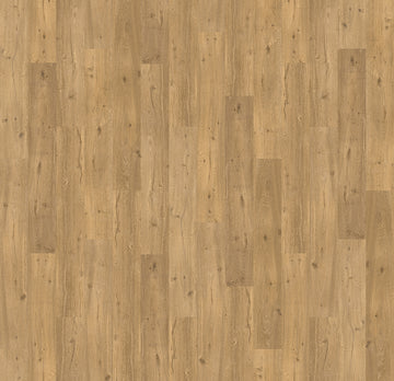 F039 / Dolly Caramello