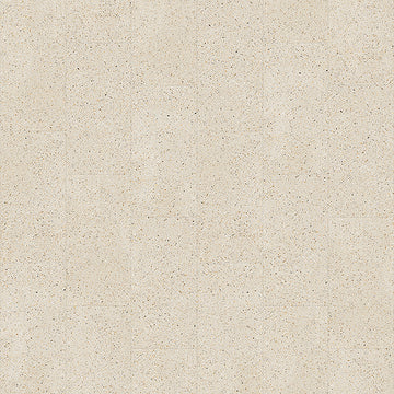 F532 / Piccolo SMALL